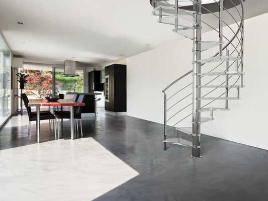 Escaliers en spirale en acier modernes d'intérieur/extérieurs avec la balustrade inoxydable