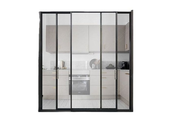 Le double en aluminium moderne a glacé les portes coulissantes pour pousser et tirer l'ouverture
