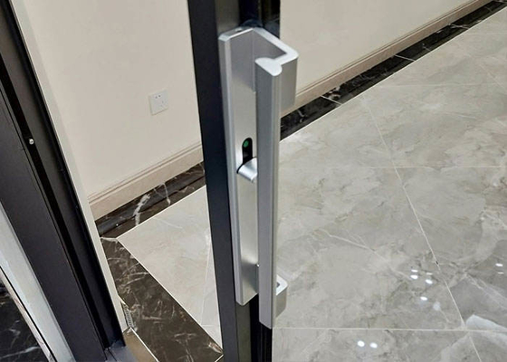 Le double en aluminium moderne a glacé les portes coulissantes pour pousser et tirer l'ouverture
