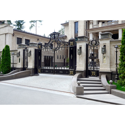 Conception de porte à deux battants de fer d'entrée, conceptions de voie de base de fer travaillé