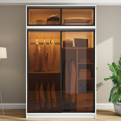 TESIA a adapté le meuble de rangement aux besoins du client en verre de porte coulissante de meubles de chambre à coucher de garde-robe