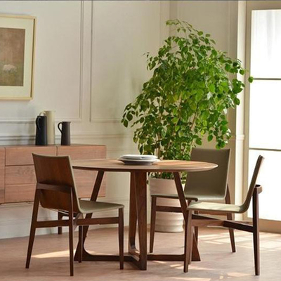 Table de salle à manger du diamètre 120cm et ensemble en bois ronds de chaise pour la villa de cour